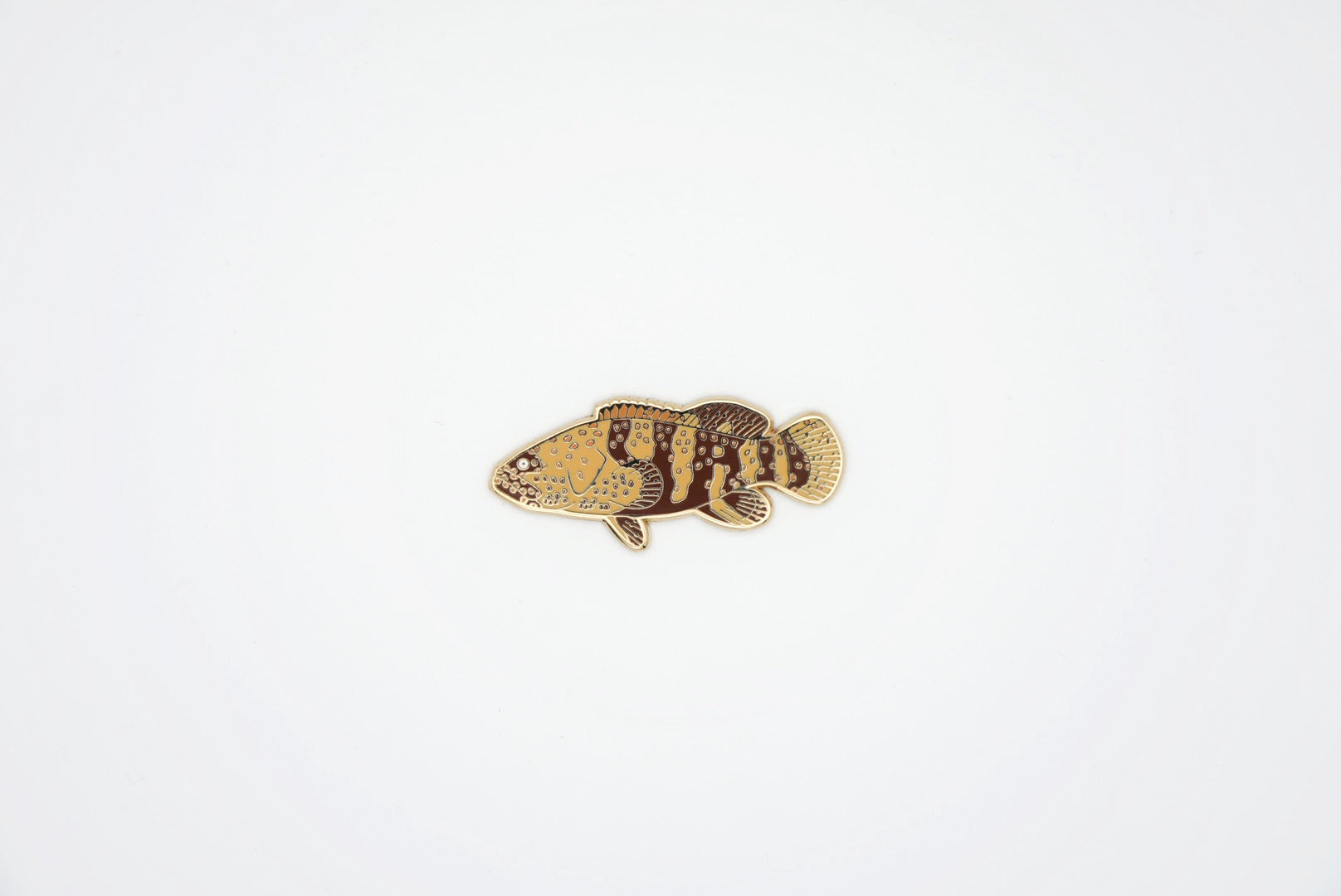 Grouper سمك الهامور